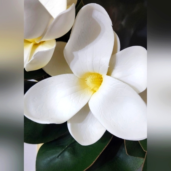 New Magnolia Wreath with Wreath Hanger - Picture 10 of 15